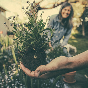 Mano sosteniendo una planta joven con raíces expuestas, mientras una persona sonríe al fondo.